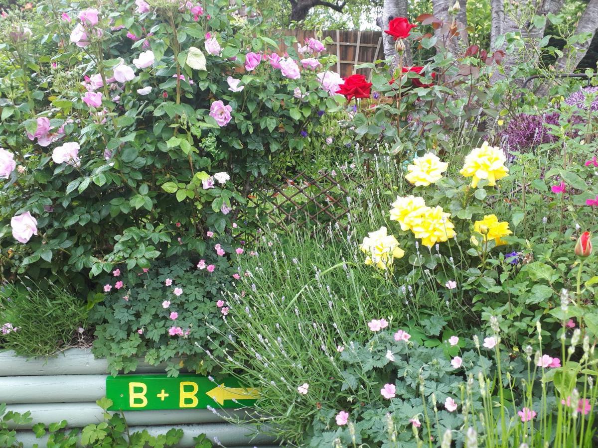Santi Bhavana Bed & Breakfast Westbury  Exterior foto